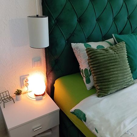 Green Cactus Rooms - Unique And Cozy House Senta Екстер'єр фото