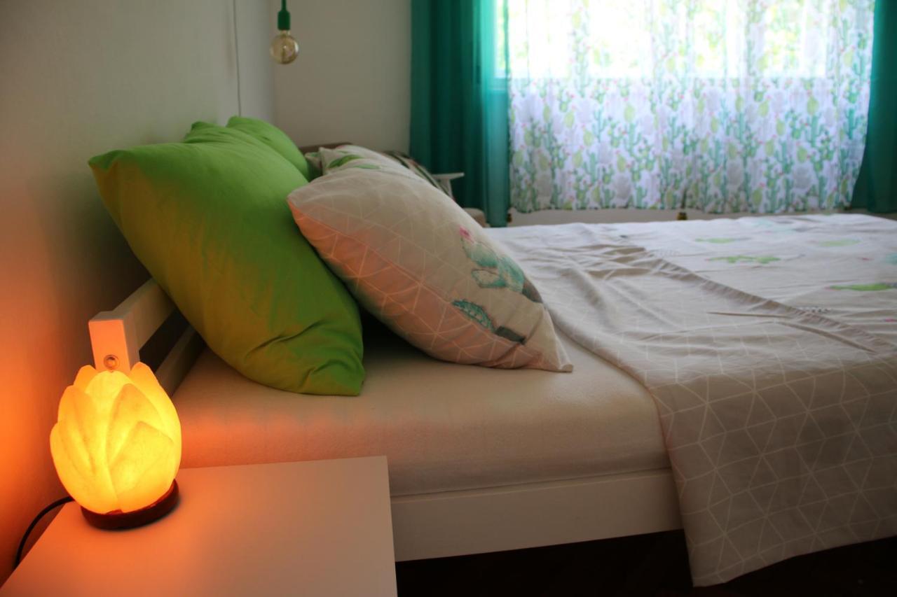 Green Cactus Rooms - Unique And Cozy House Senta Екстер'єр фото