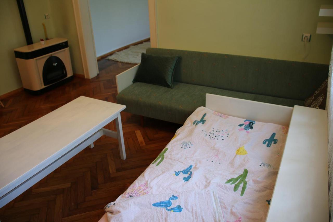 Green Cactus Rooms - Unique And Cozy House Senta Екстер'єр фото