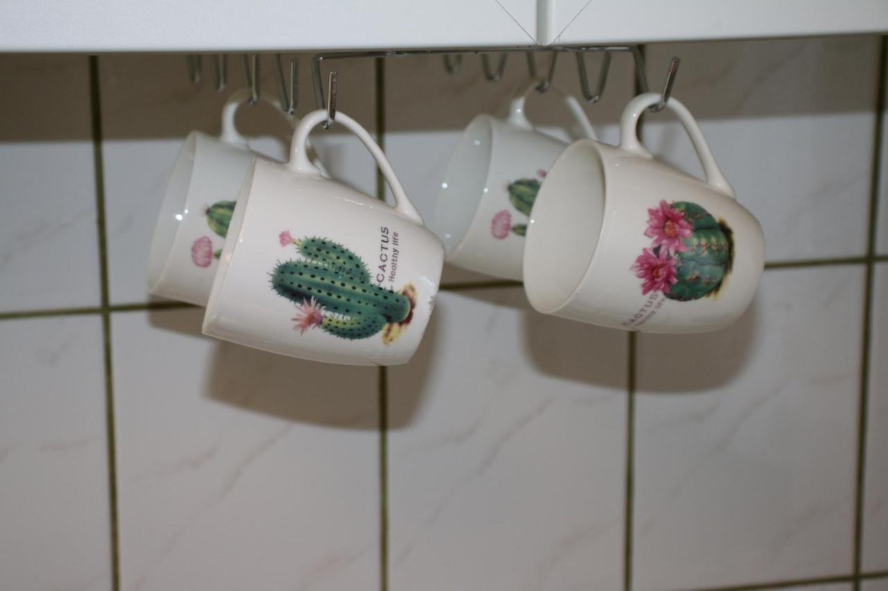 Green Cactus Rooms - Unique And Cozy House Senta Екстер'єр фото