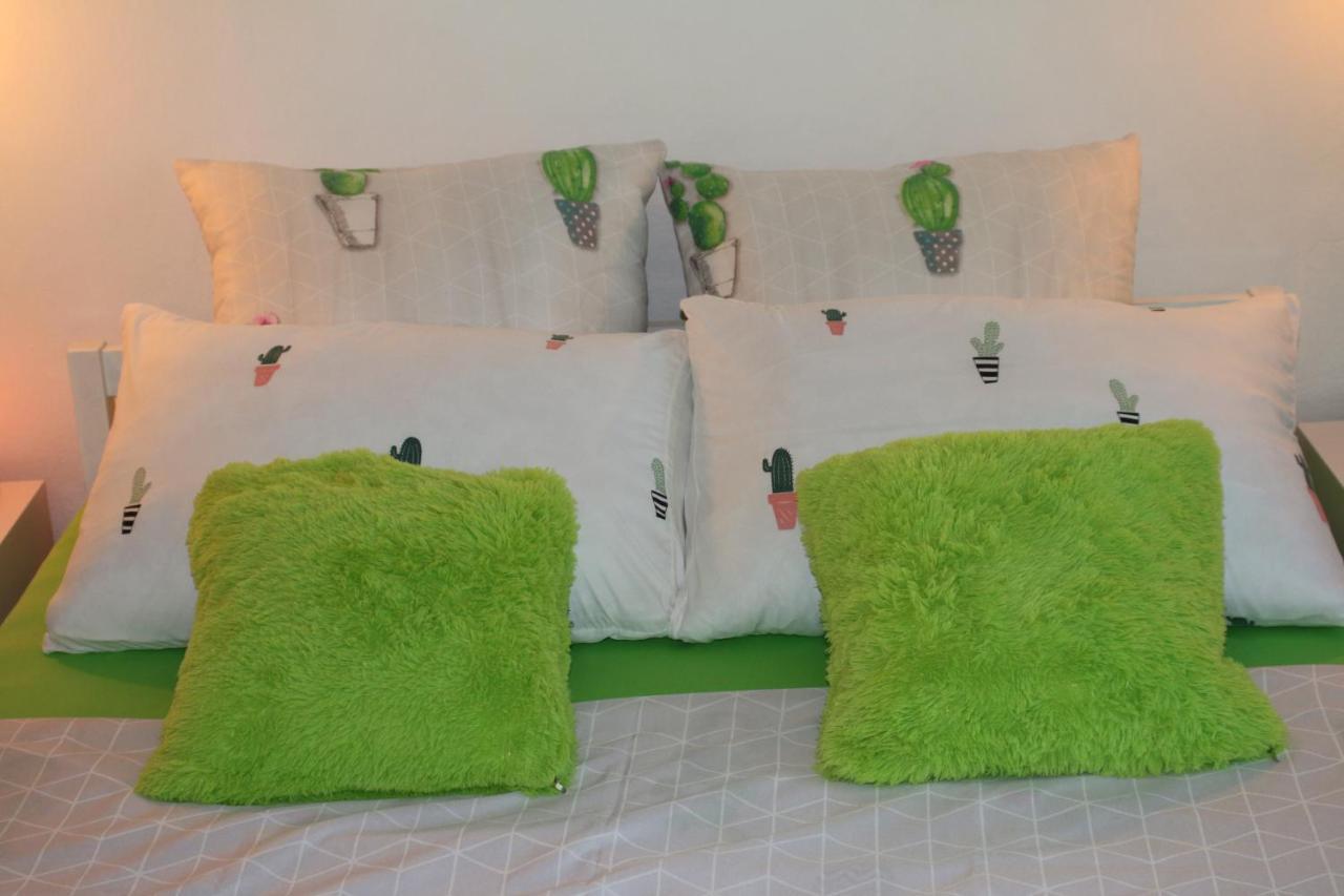 Green Cactus Rooms - Unique And Cozy House Senta Екстер'єр фото