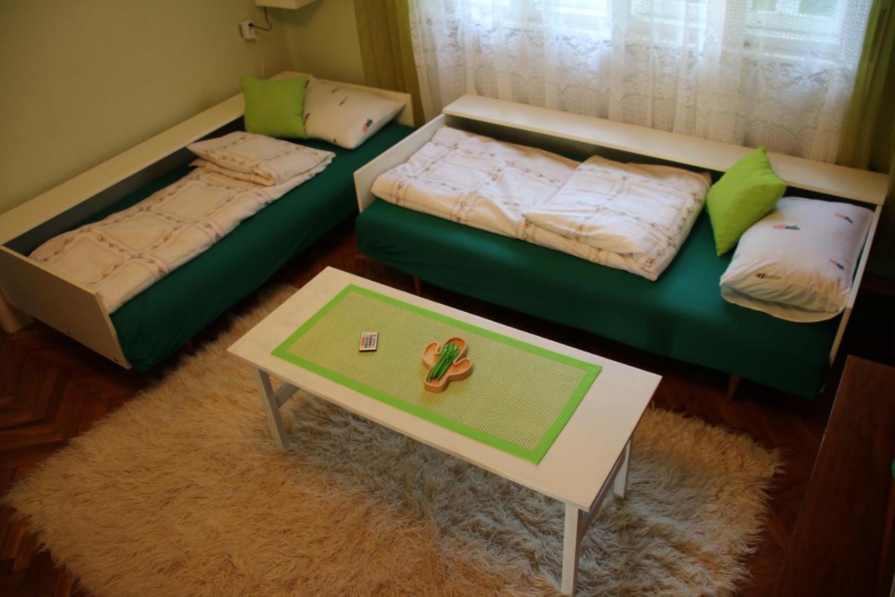 Green Cactus Rooms - Unique And Cozy House Senta Екстер'єр фото