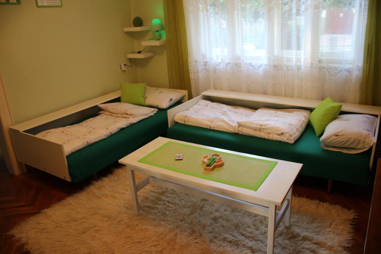 Green Cactus Rooms - Unique And Cozy House Senta Екстер'єр фото