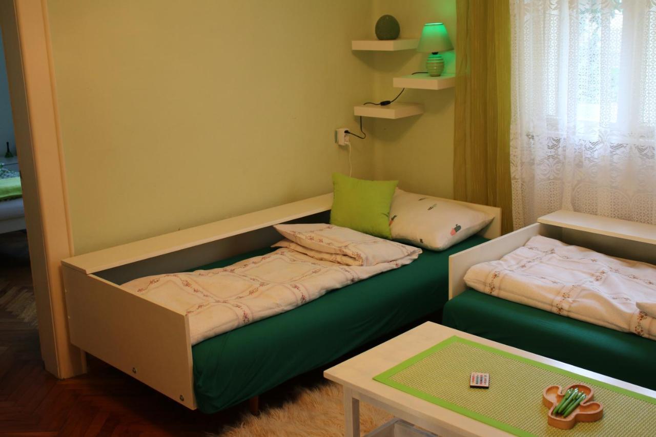 Green Cactus Rooms - Unique And Cozy House Senta Екстер'єр фото