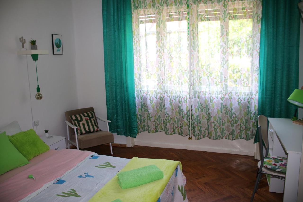 Green Cactus Rooms - Unique And Cozy House Senta Екстер'єр фото