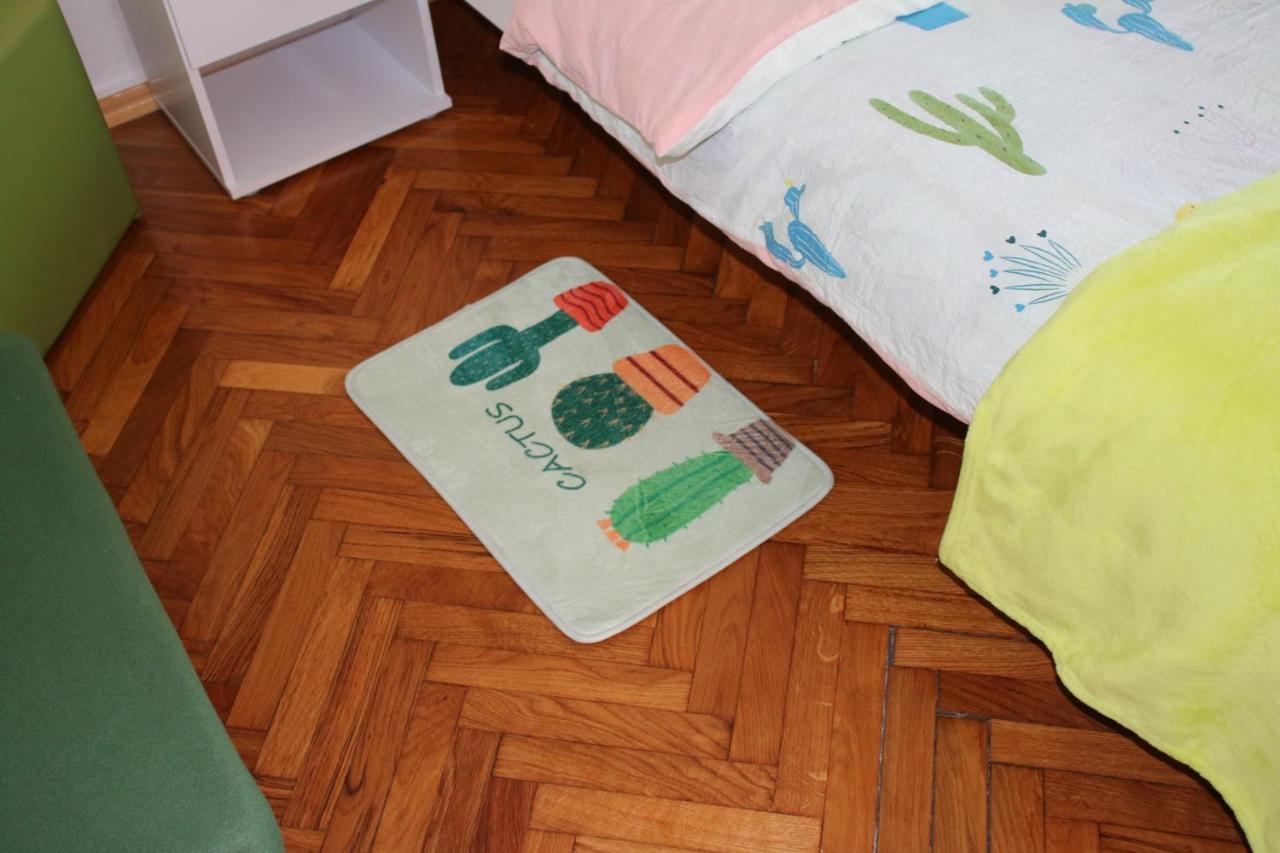 Green Cactus Rooms - Unique And Cozy House Senta Екстер'єр фото