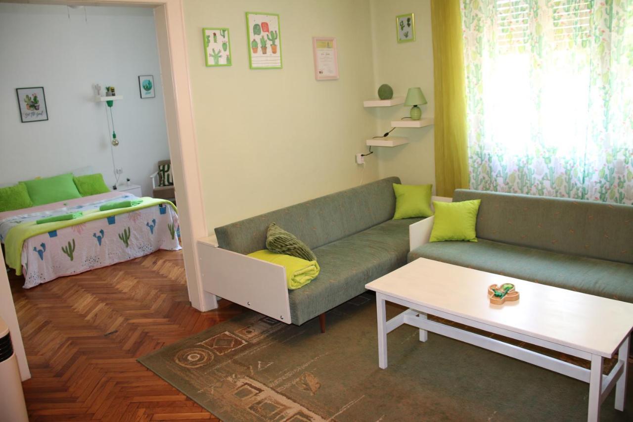 Green Cactus Rooms - Unique And Cozy House Senta Екстер'єр фото