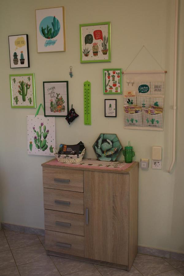 Green Cactus Rooms - Unique And Cozy House Senta Екстер'єр фото