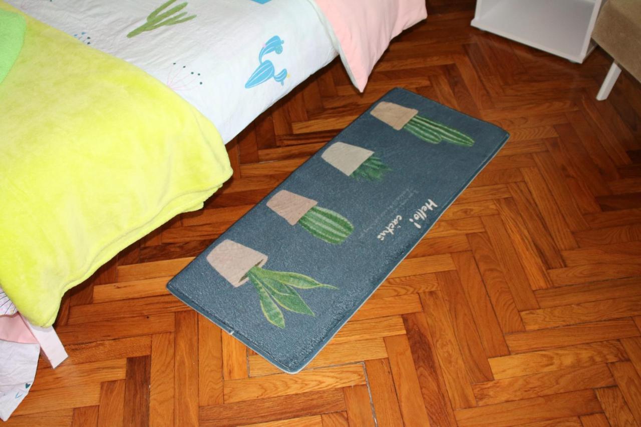 Green Cactus Rooms - Unique And Cozy House Senta Екстер'єр фото