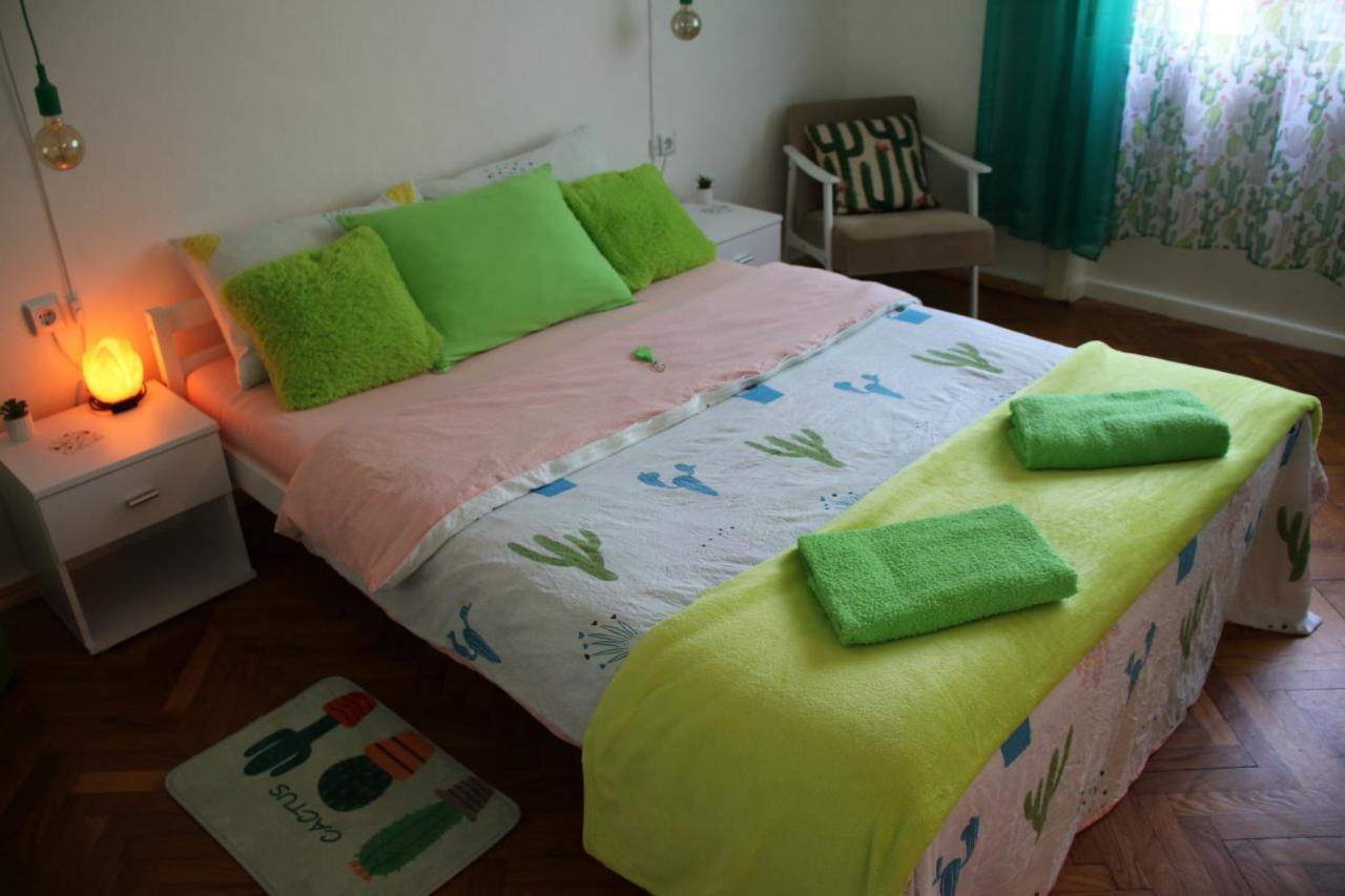 Green Cactus Rooms - Unique And Cozy House Senta Екстер'єр фото