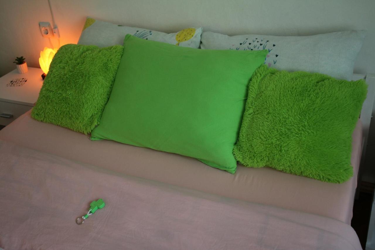 Green Cactus Rooms - Unique And Cozy House Senta Екстер'єр фото