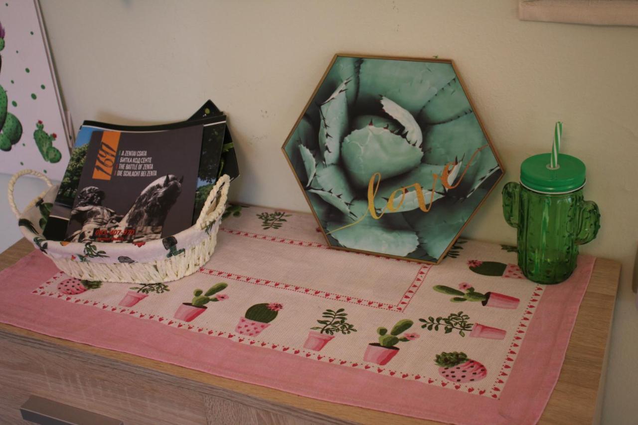 Green Cactus Rooms - Unique And Cozy House Senta Екстер'єр фото
