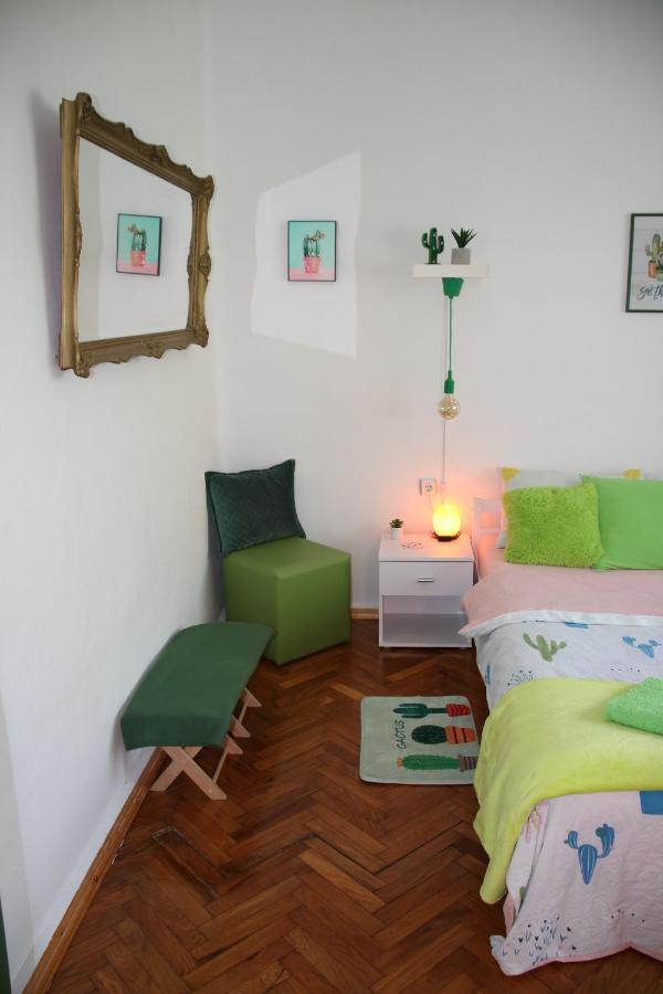 Green Cactus Rooms - Unique And Cozy House Senta Екстер'єр фото