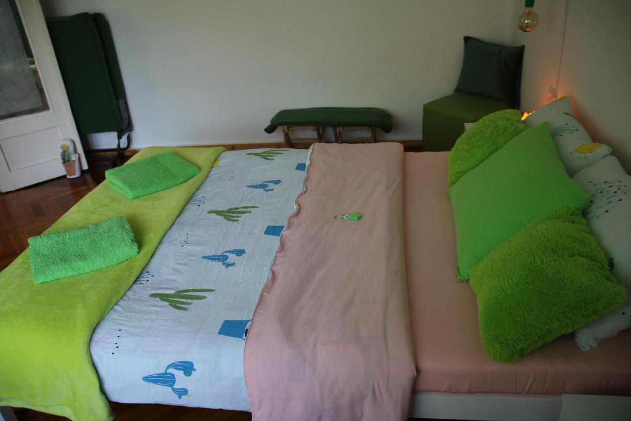 Green Cactus Rooms - Unique And Cozy House Senta Екстер'єр фото