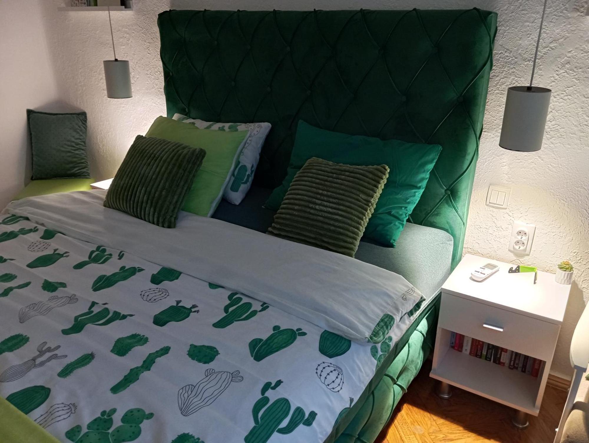 Green Cactus Rooms - Unique And Cozy House Senta Екстер'єр фото