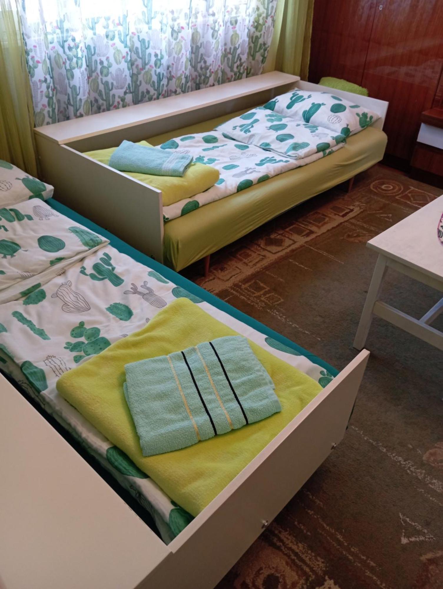 Green Cactus Rooms - Unique And Cozy House Senta Екстер'єр фото