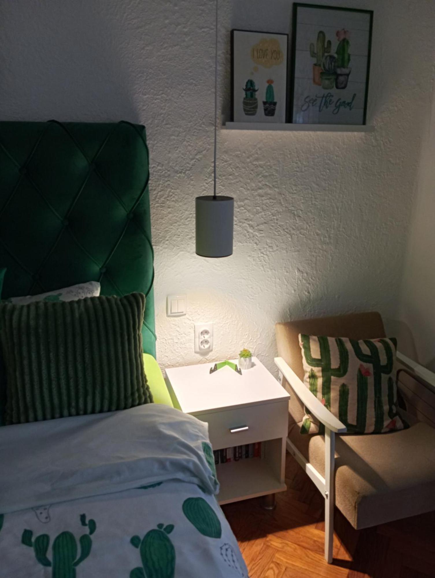 Green Cactus Rooms - Unique And Cozy House Senta Екстер'єр фото