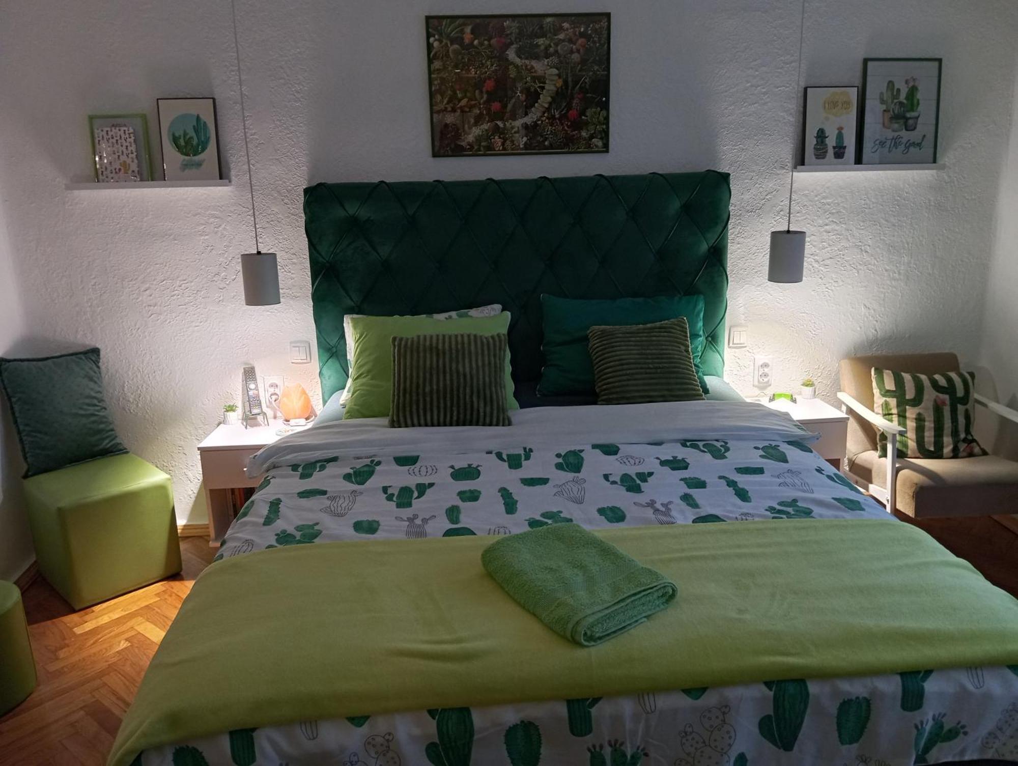 Green Cactus Rooms - Unique And Cozy House Senta Екстер'єр фото